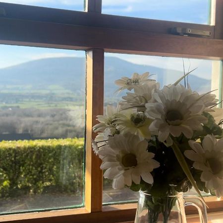 Yewwood Cottage Newry Luaran gambar